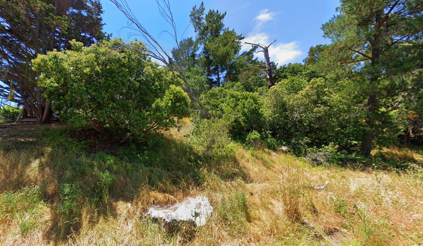 Green Street, Cambria, California image 6