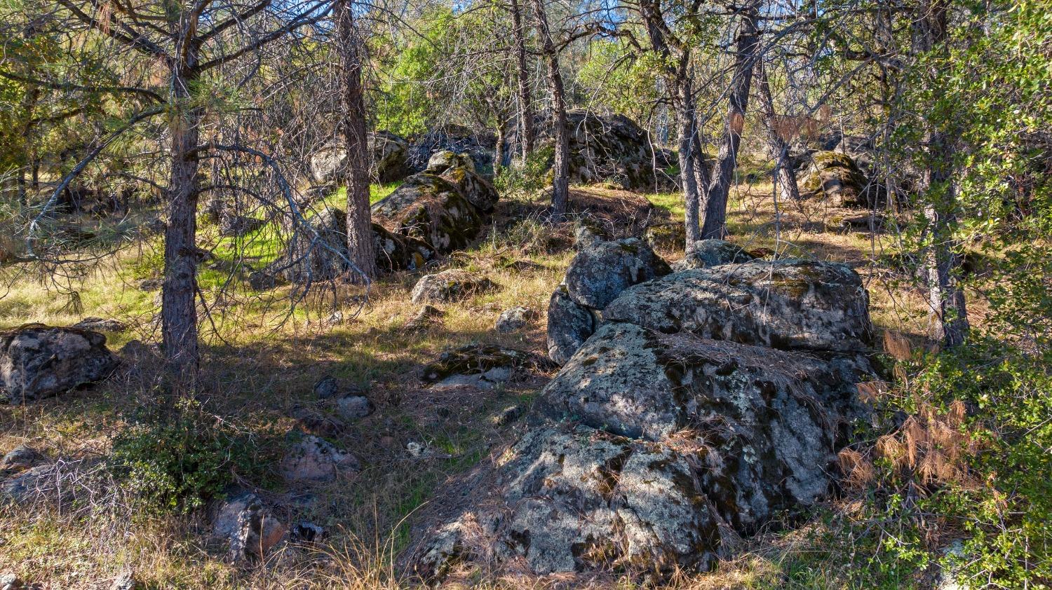 Indian Springs Road, Penn Valley, California image 20