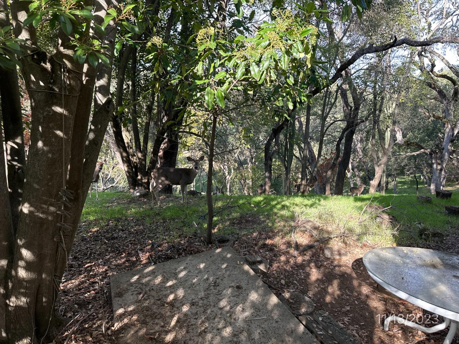 Vista De Lago Way, Fair Oaks, California image 13