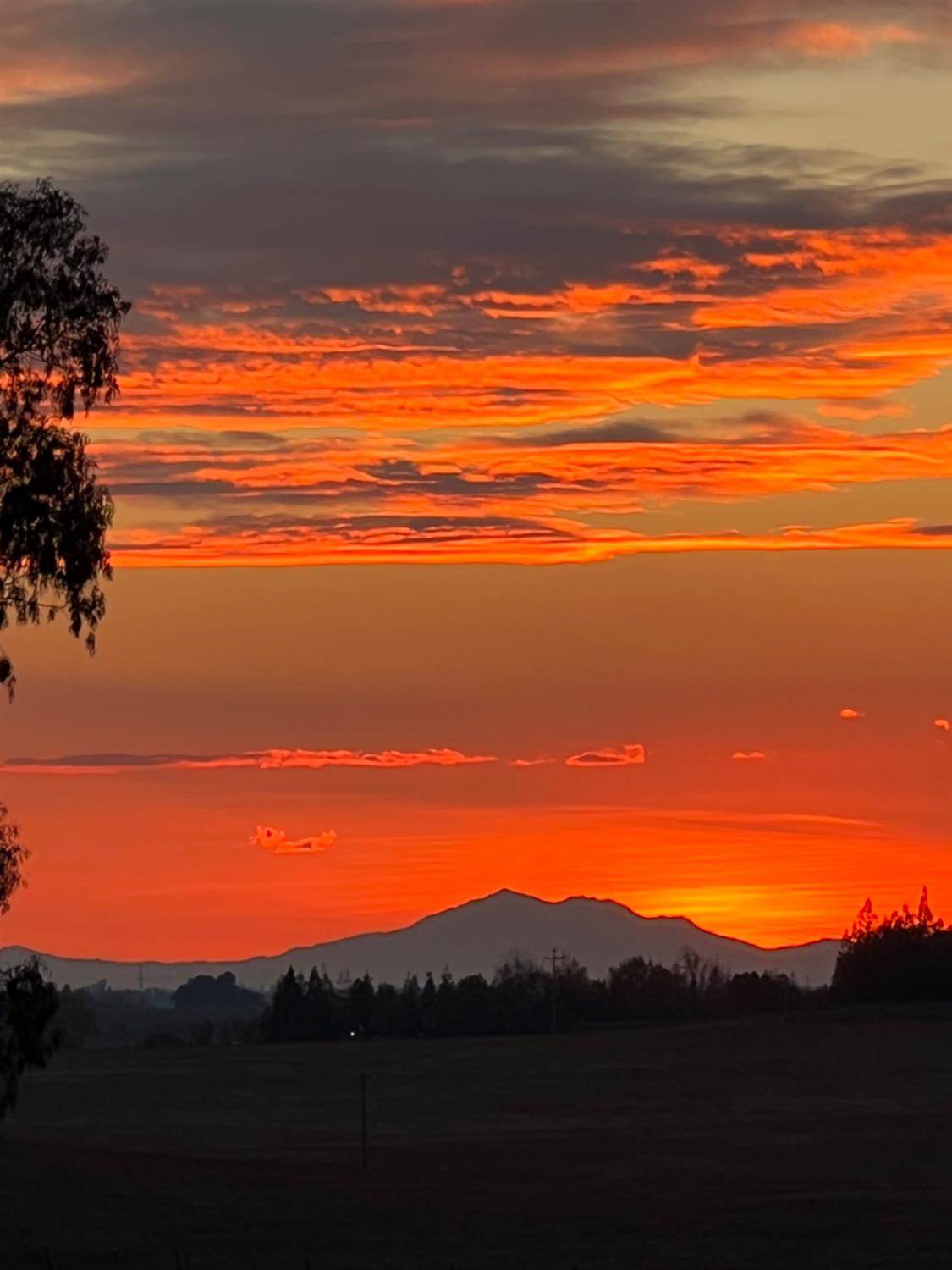 E Acampo Road, Clements, California image 16