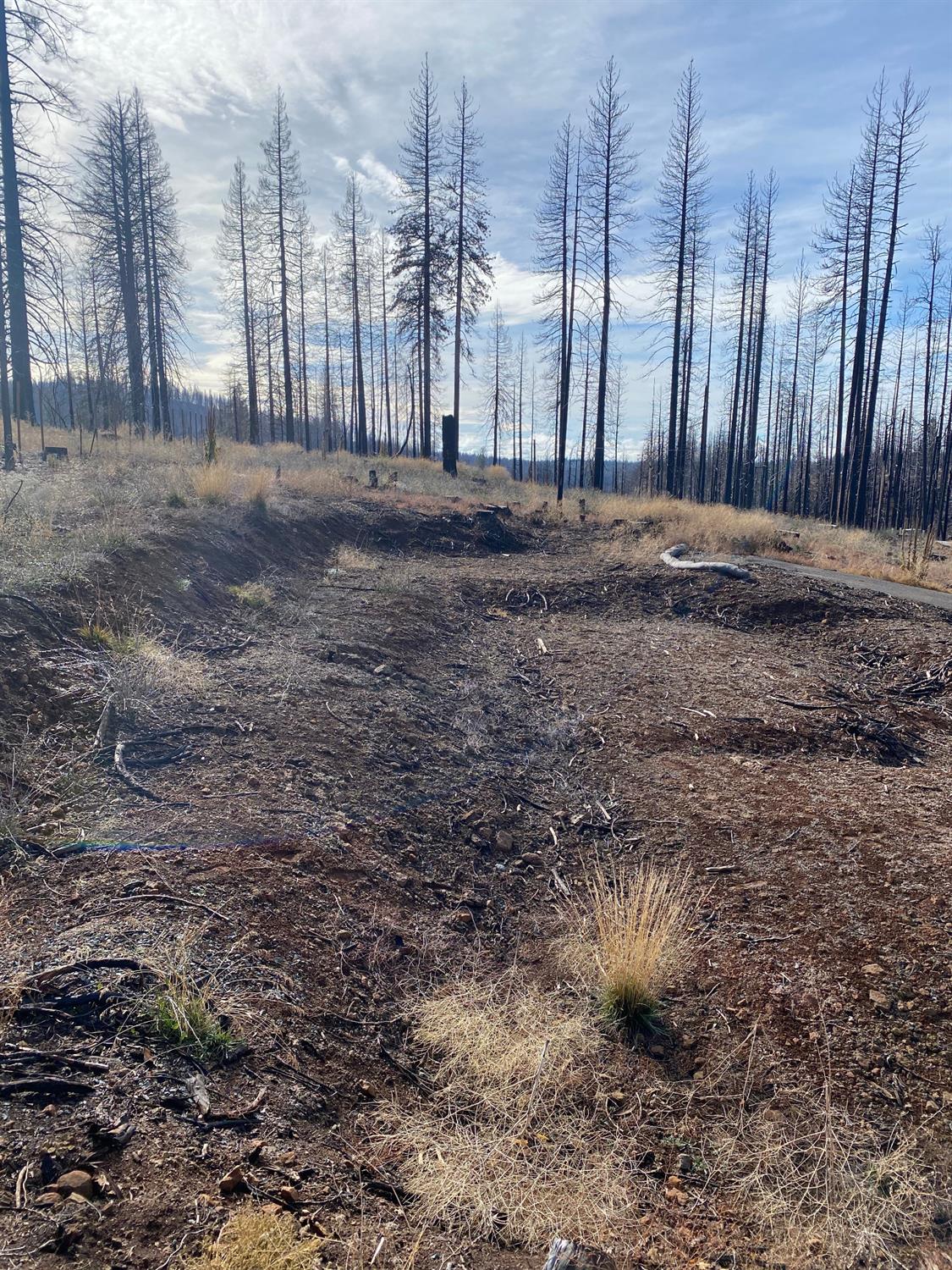 Edgewood Circle, Grizzly Flats, California image 10