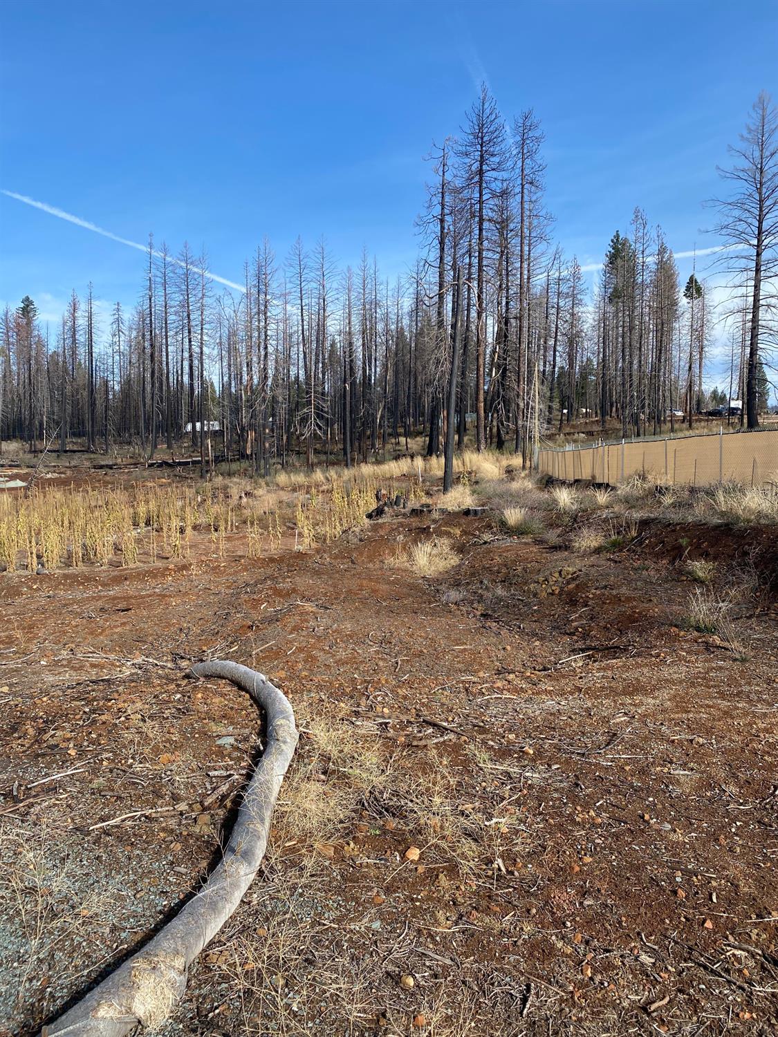 Edgewood Circle, Grizzly Flats, California image 7