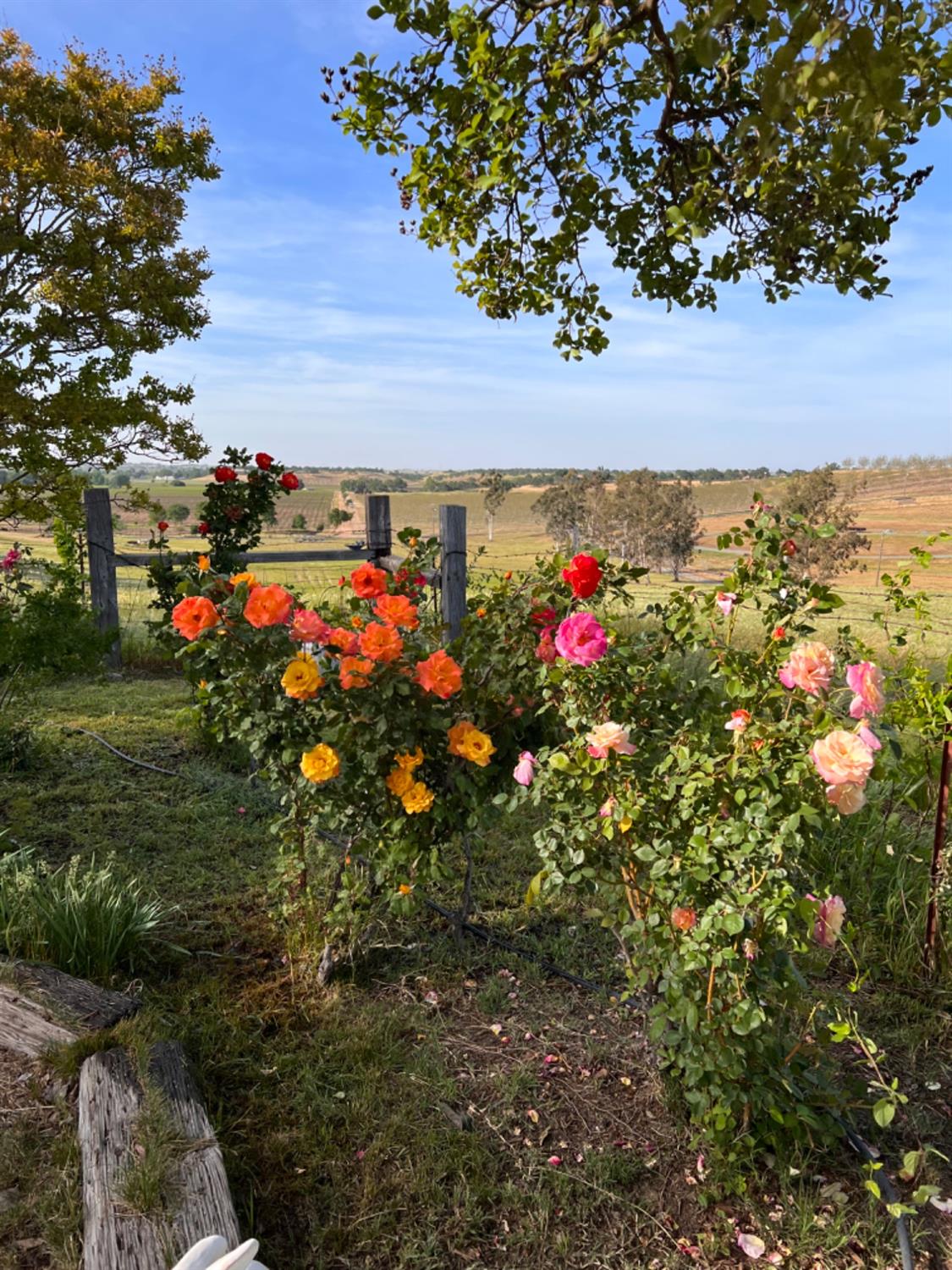 E Acampo Road, Clements, California image 18