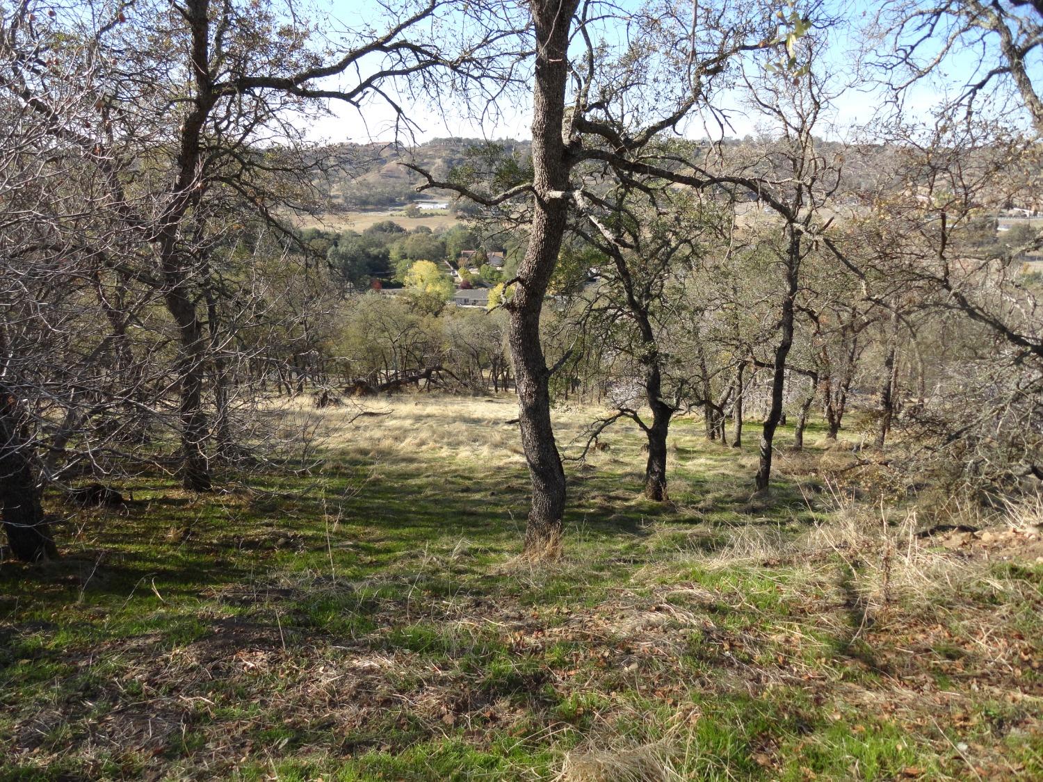 Dunn Road, Valley Springs, California image 3