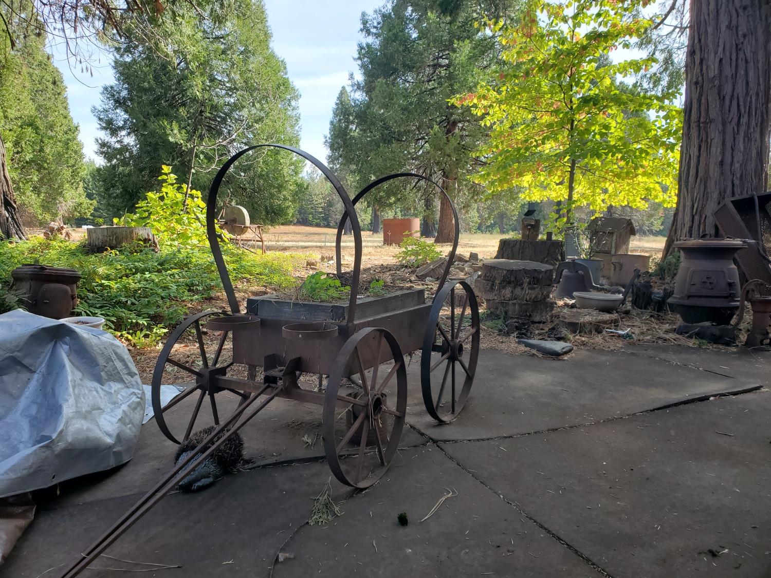 Volcanoville Road, Georgetown, California image 5