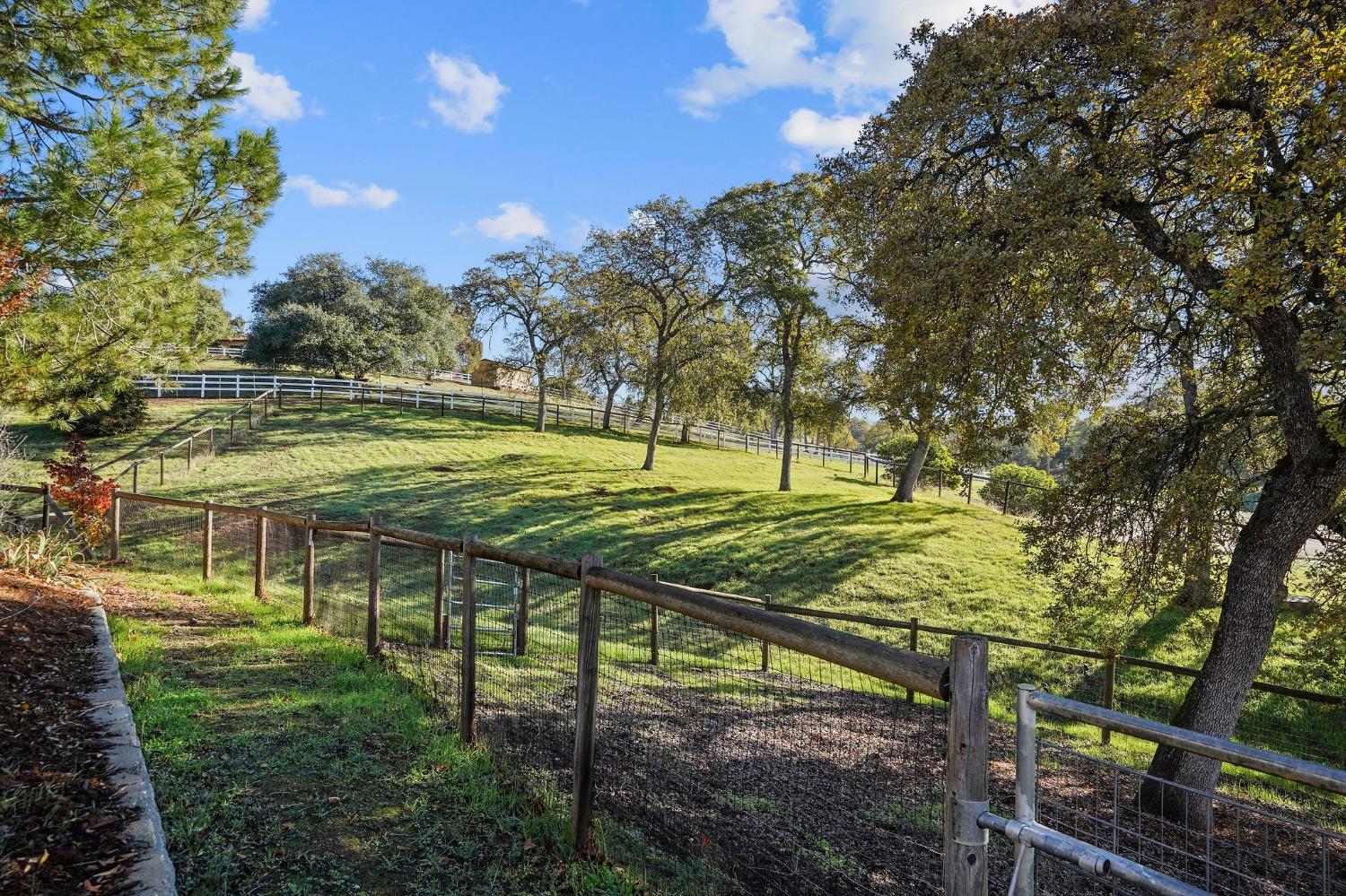 Bryant Road, Shingle Springs, California image 6