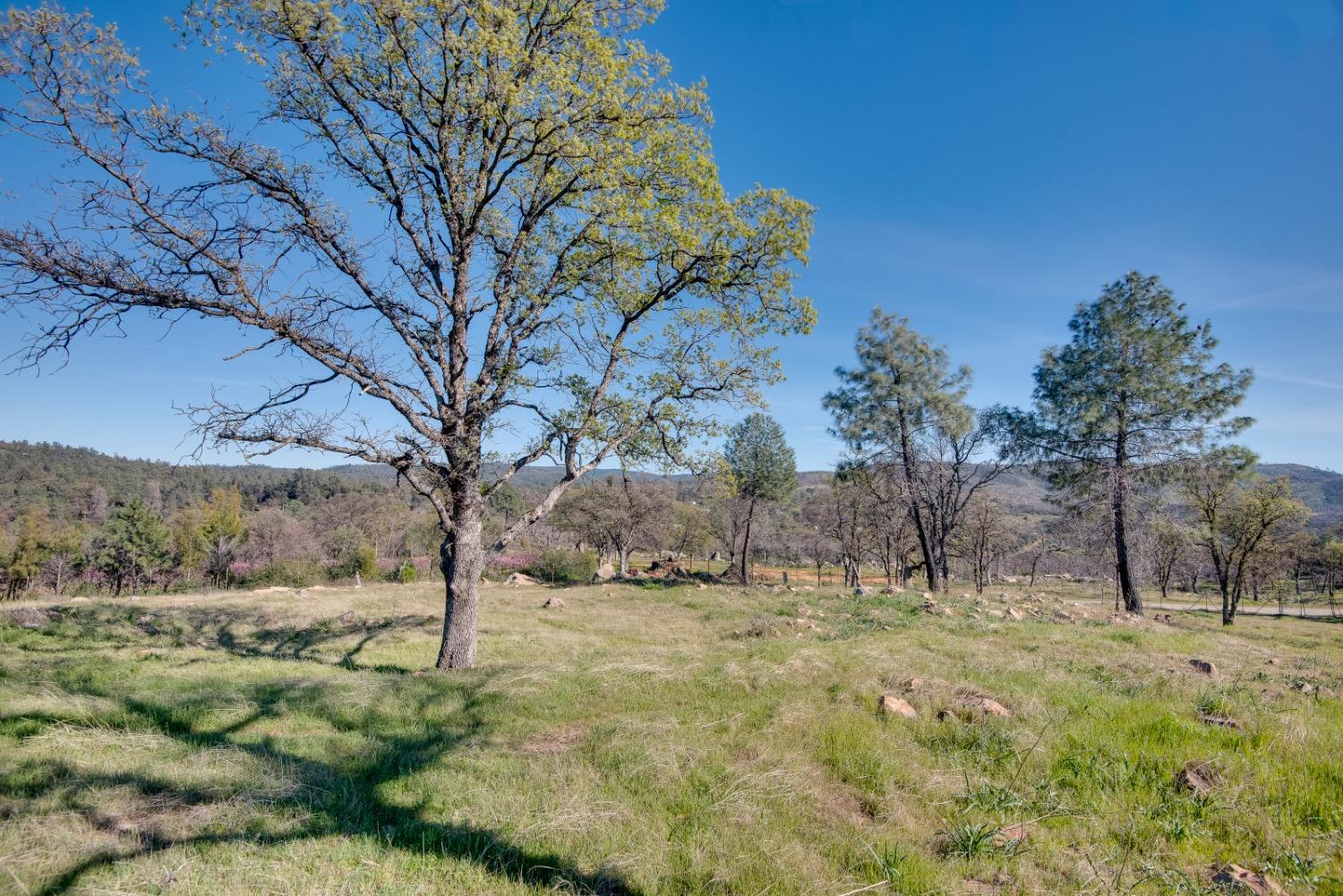 Old Olive Highway, Oroville, California image 13