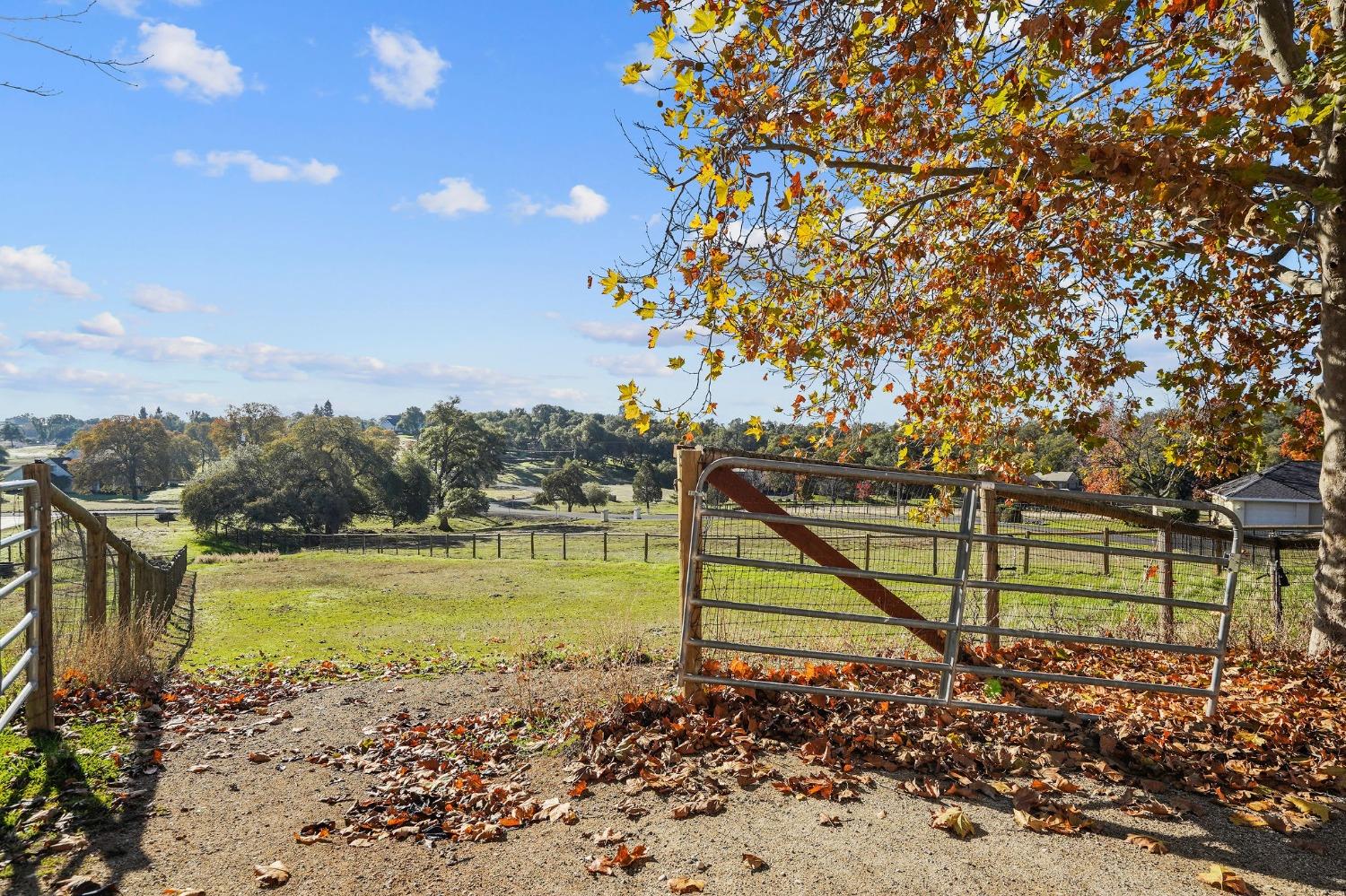 Bryant Road, Shingle Springs, California image 21