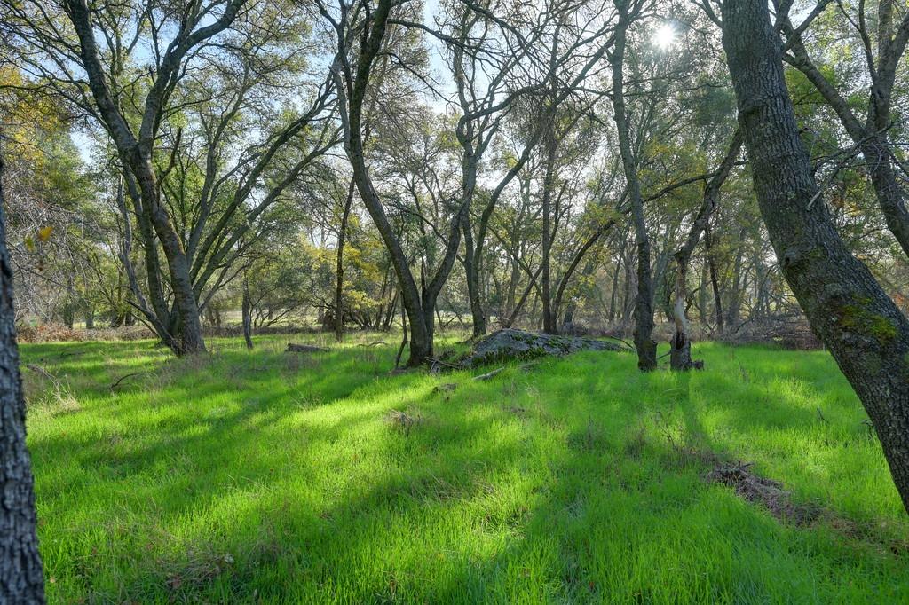 Colwell Road, Penryn, California image 15