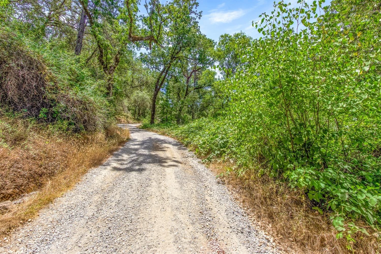 Clark Mountain Road, Lotus, California image 6