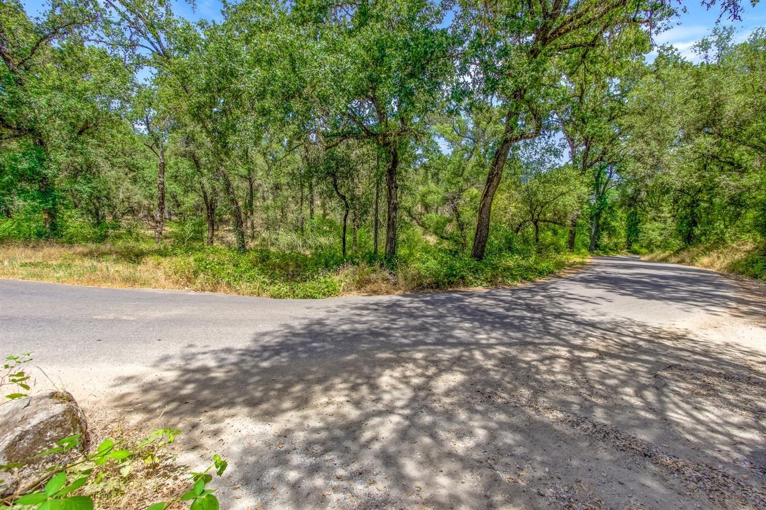 Clark Mountain Road, Lotus, California image 9