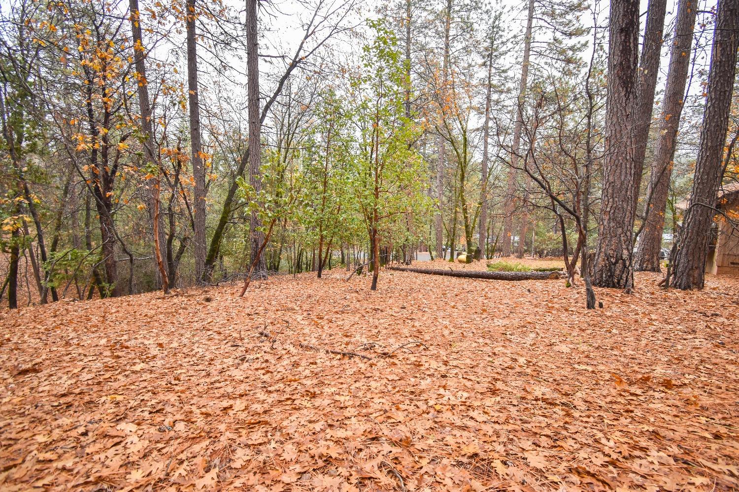 Crestline Drive, Foresthill, California image 19