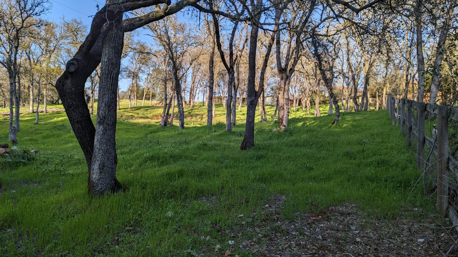 Hensley Circle, El Dorado Hills, California image 6