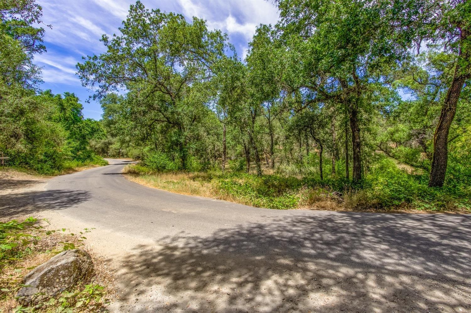 Clark Mountain Road, Lotus, California image 8