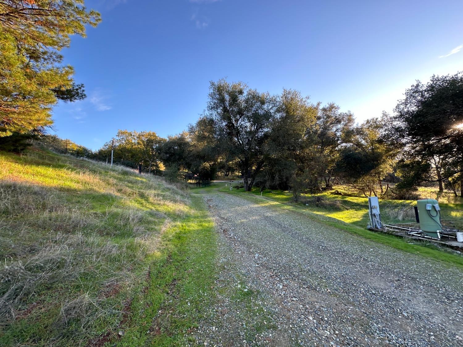 Larelyn Lane, Shingle Springs, California image 1