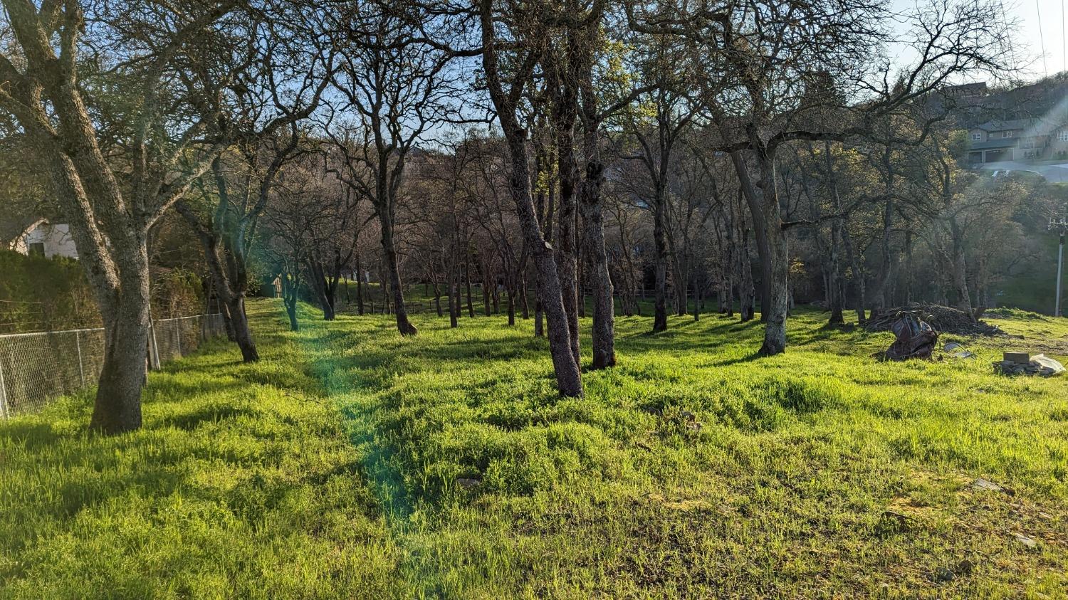 Hensley Circle, El Dorado Hills, California image 8