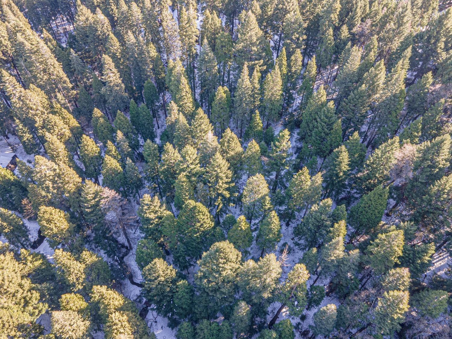Sec 36 11 12, Pollock Pines, California image 1