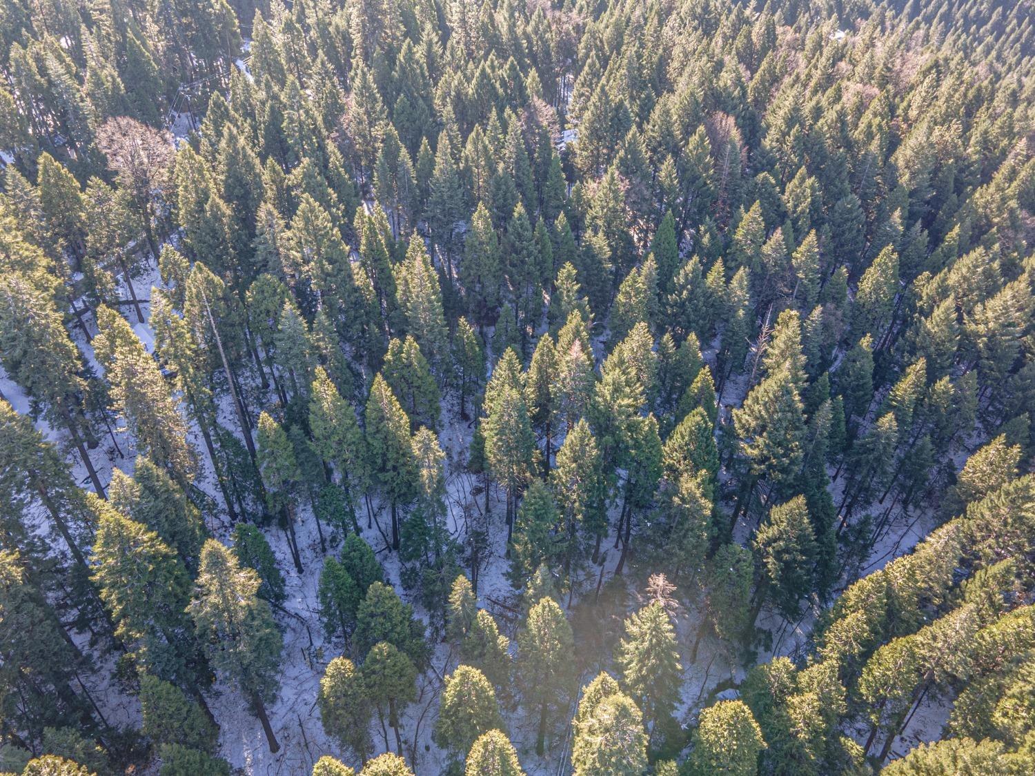 Sec 36 11 12, Pollock Pines, California image 8