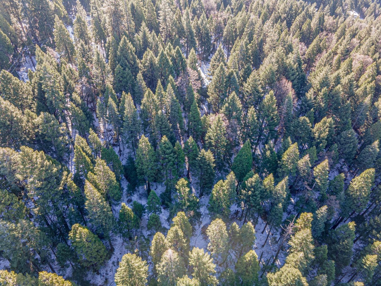 Sec 36 11 12, Pollock Pines, California image 6