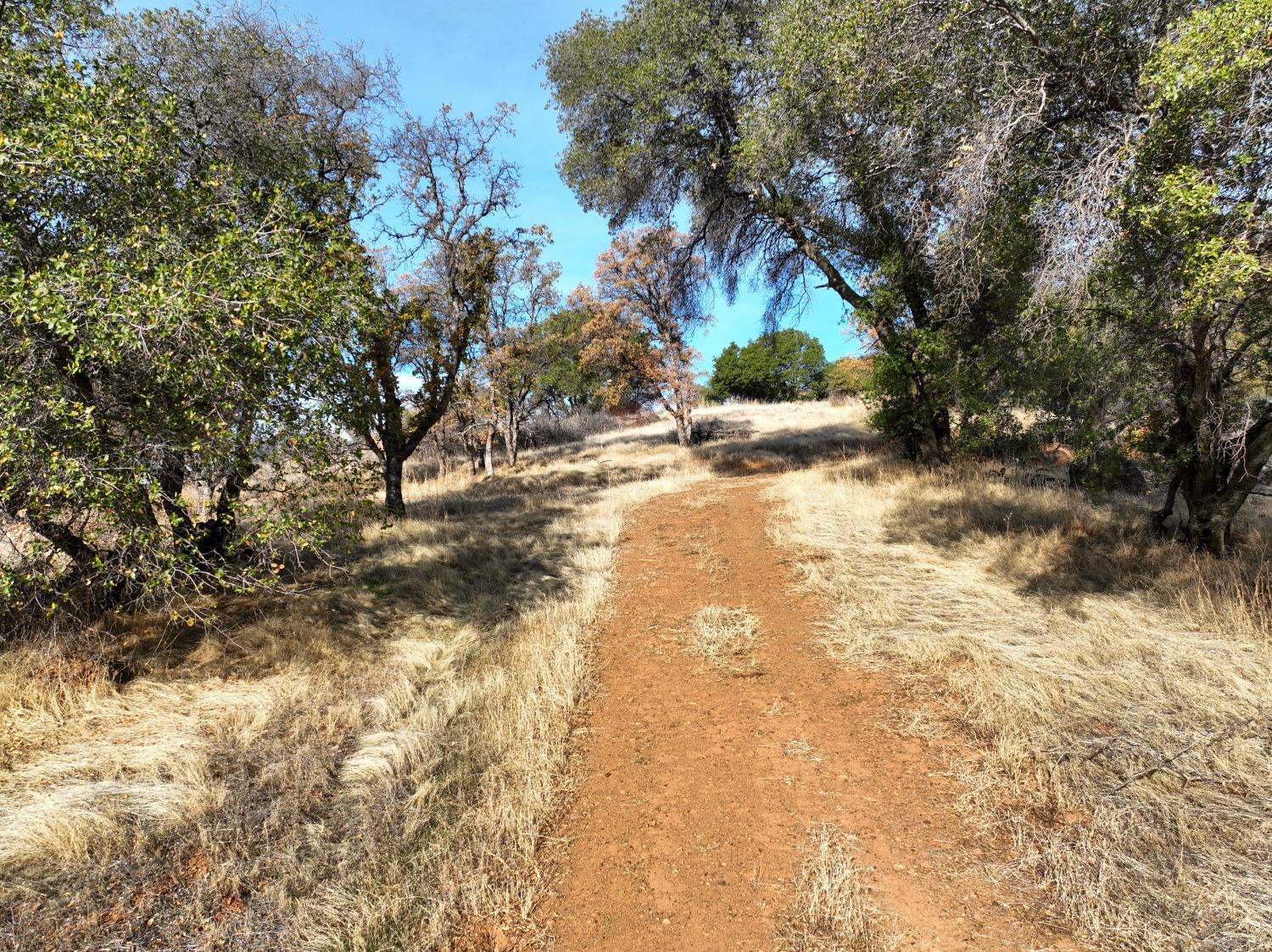 Ladan Lane, Grass Valley, California image 7