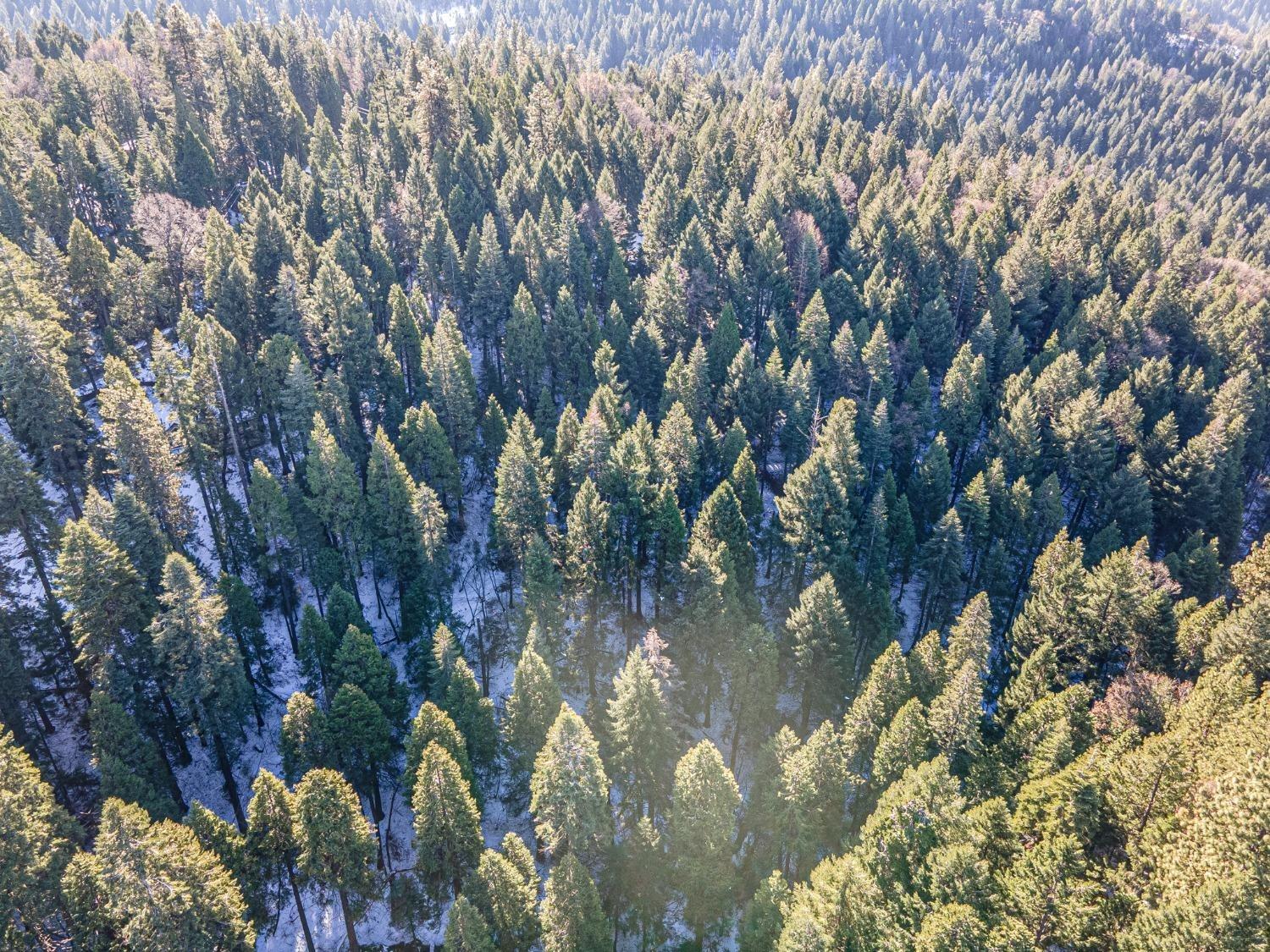 Sec 36 11 12, Pollock Pines, California image 5