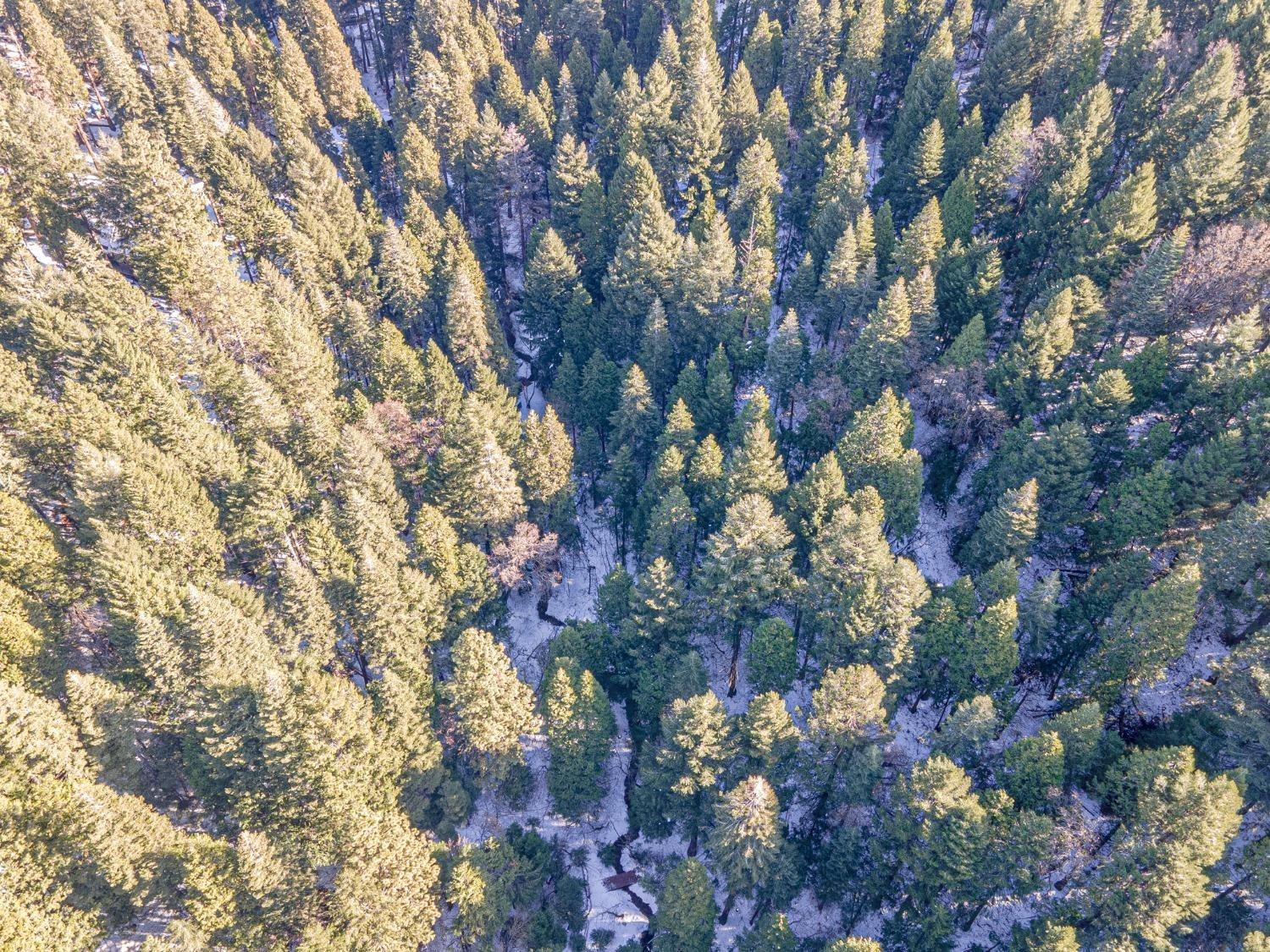 Sec 36 11 12, Pollock Pines, California image 9