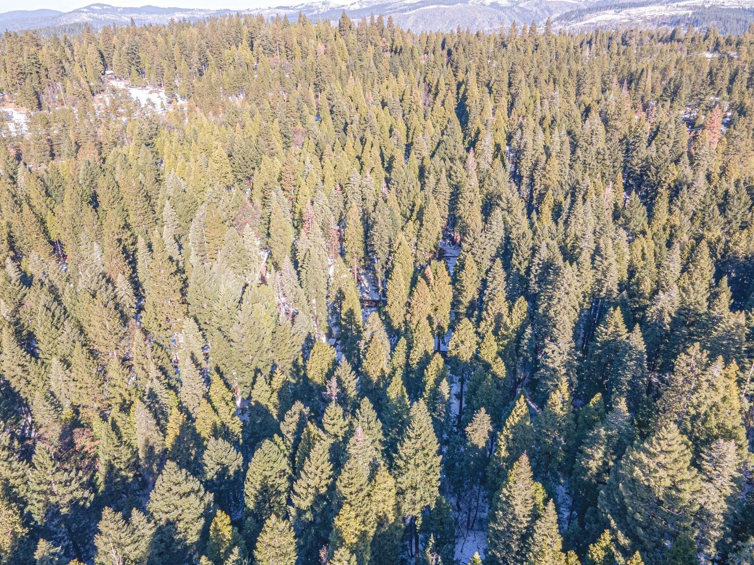 Sec 36 11 12, Pollock Pines, California image 12
