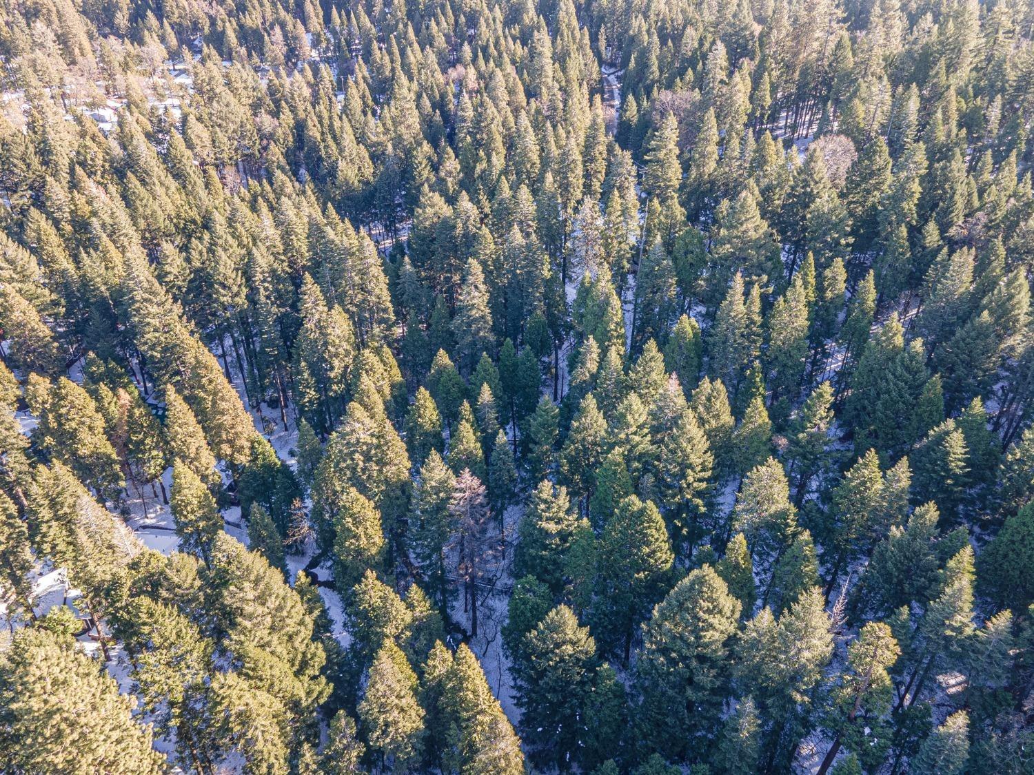 Sec 36 11 12, Pollock Pines, California image 4