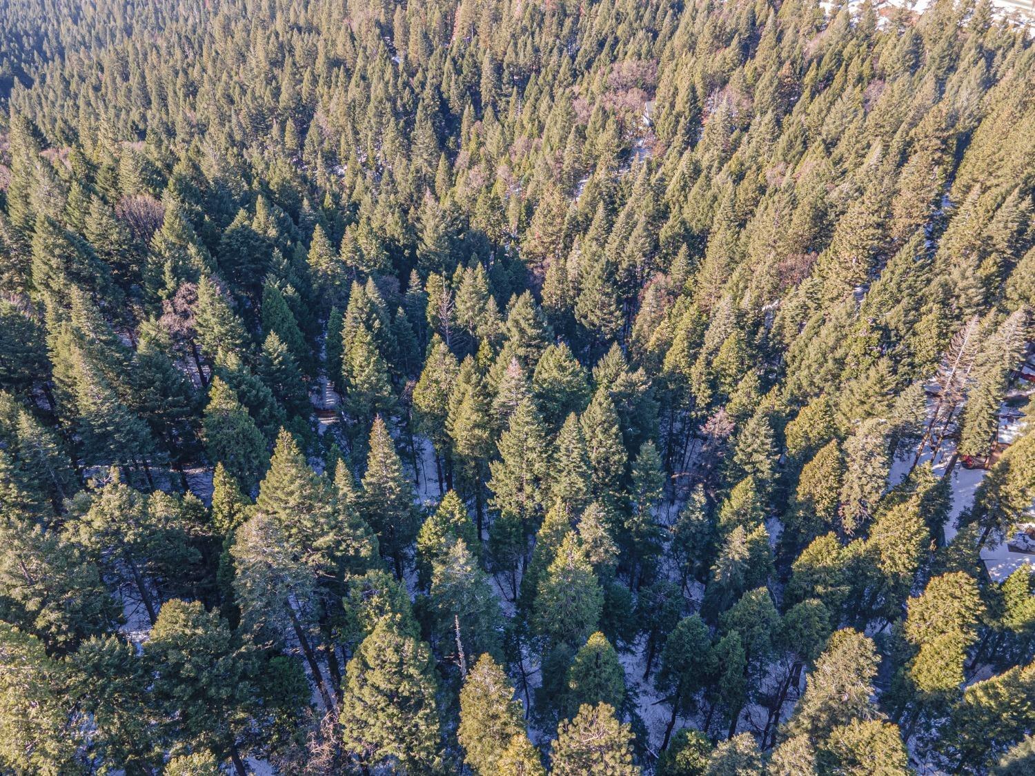 Sec 36 11 12, Pollock Pines, California image 3