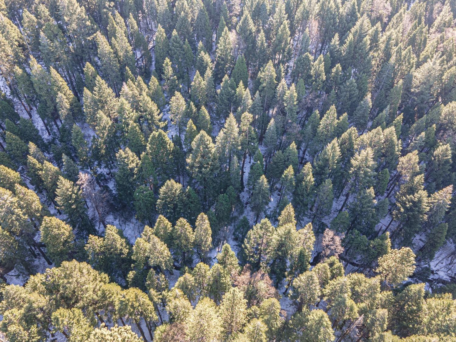 Sec 36 11 12, Pollock Pines, California image 7