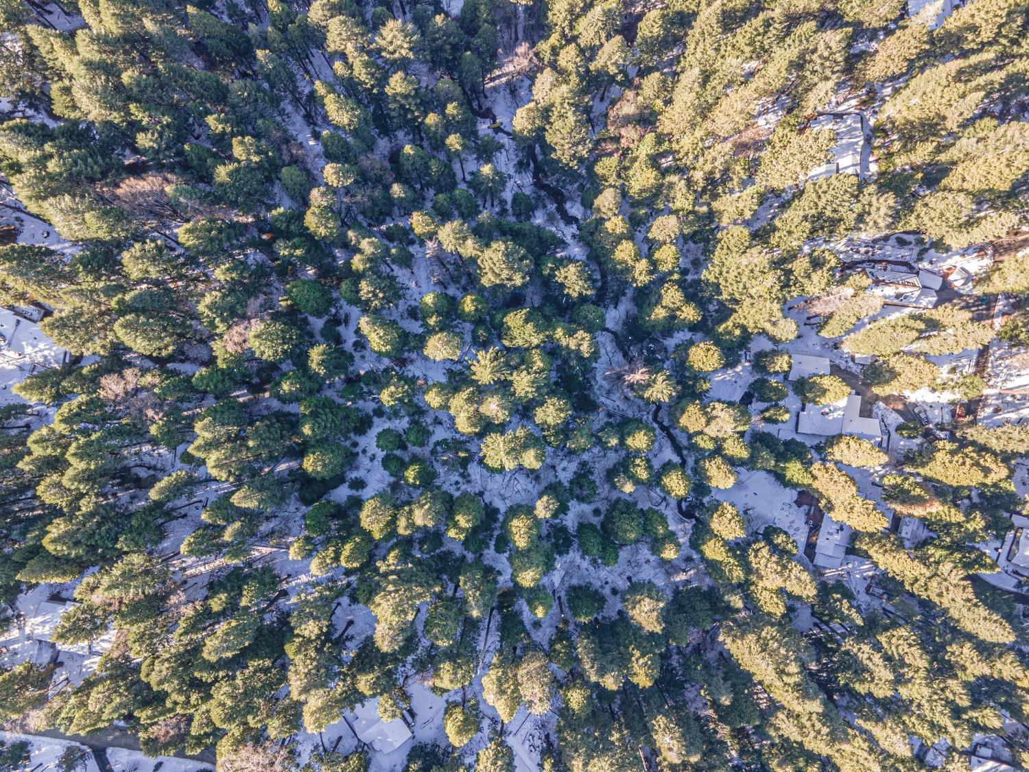 Sec 36 11 12, Pollock Pines, California image 2