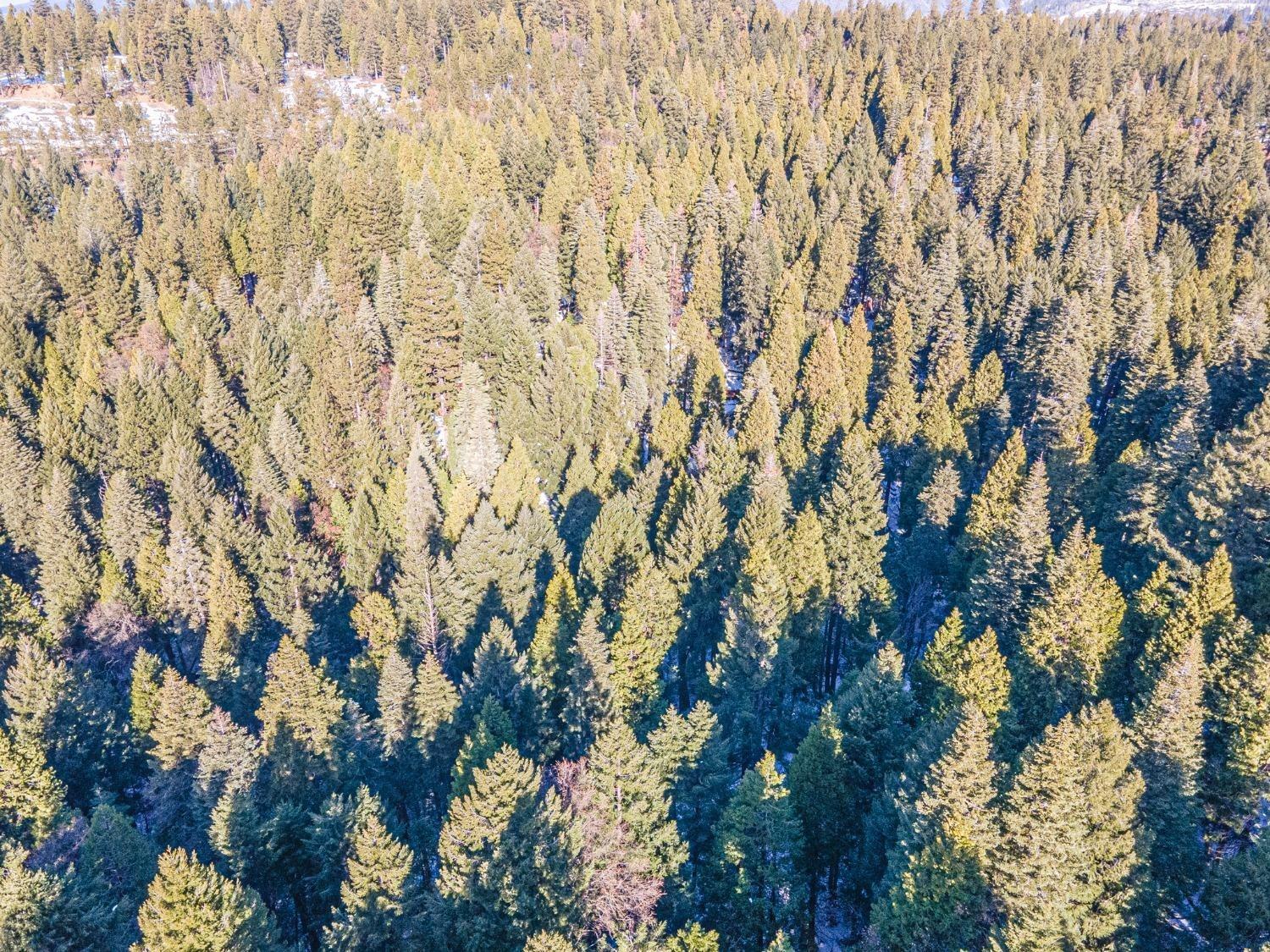Sec 36 11 12, Pollock Pines, California image 11