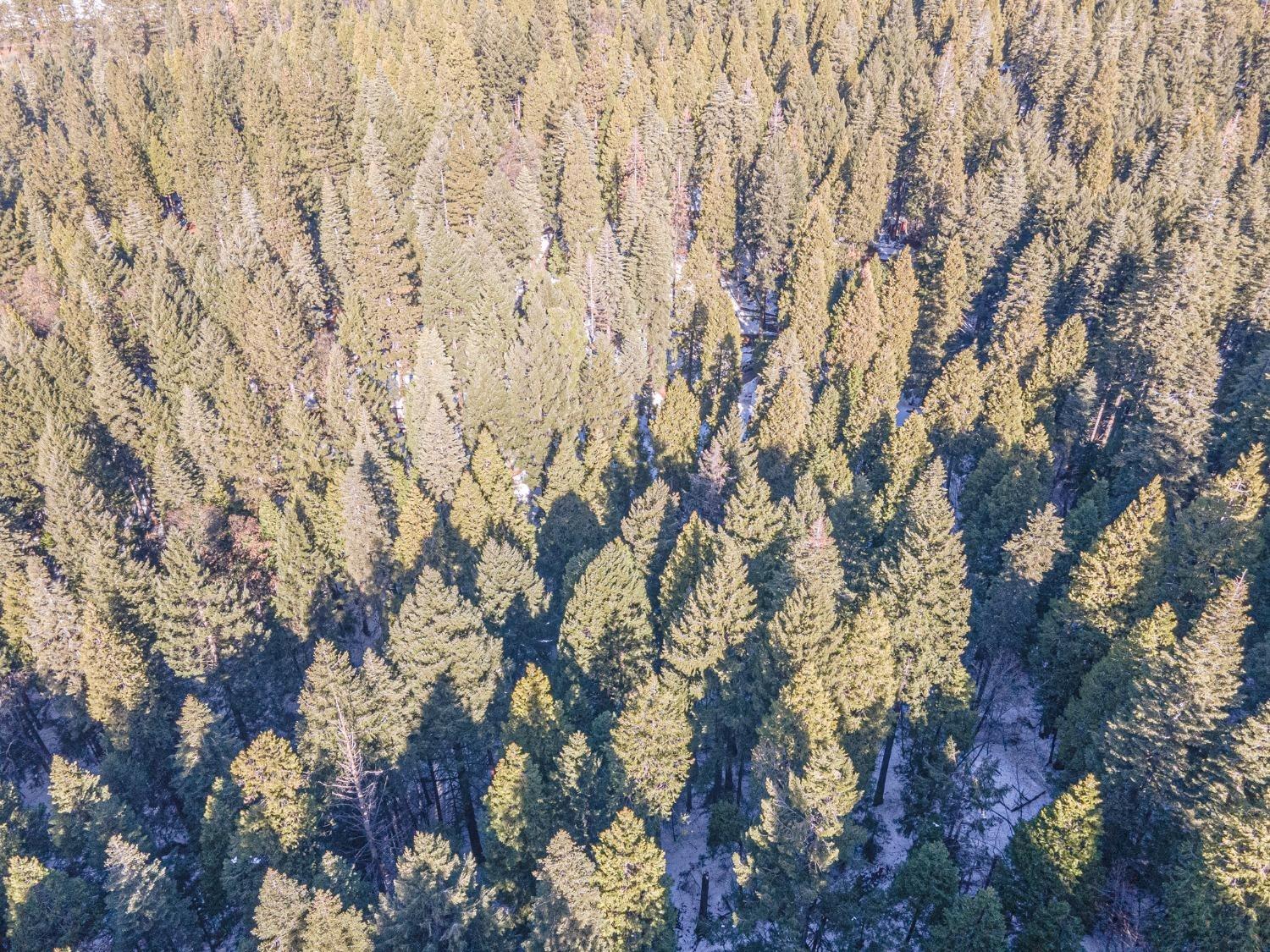 Sec 36 11 12, Pollock Pines, California image 10