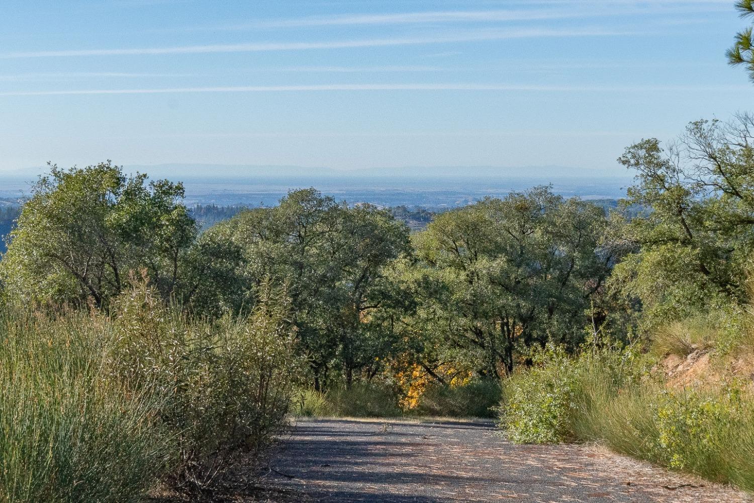 Tanyard Hill Road, Pine Grove, California image 19