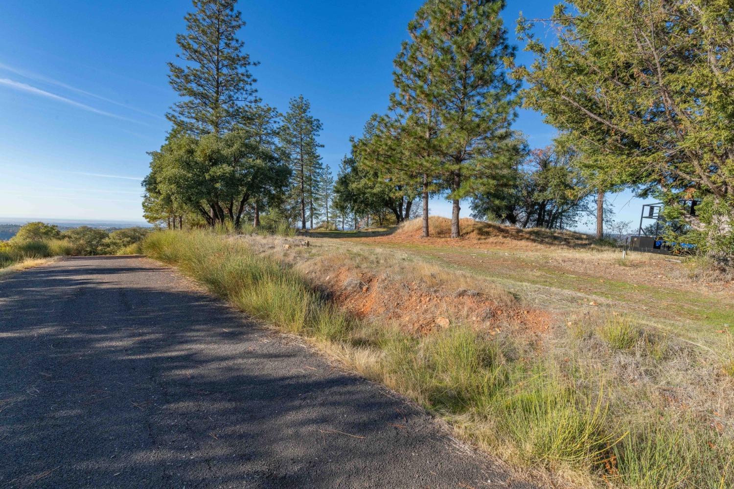 Tanyard Hill Road, Pine Grove, California image 18