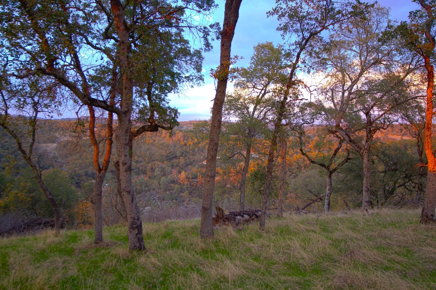 Venture Valley Road, Shingle Springs, California image 7