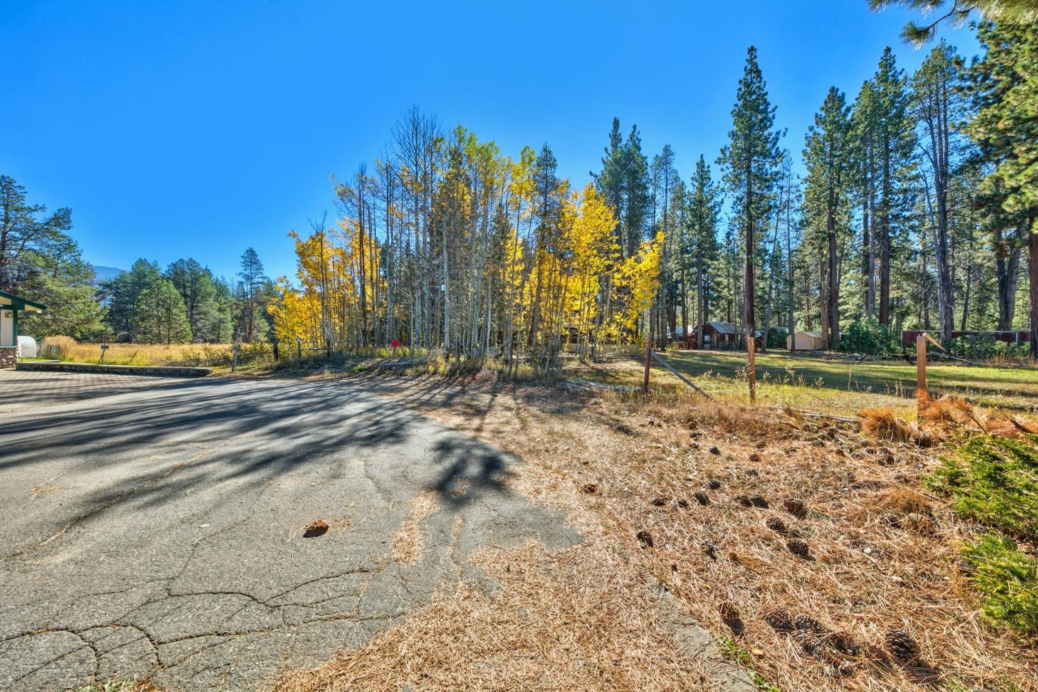 Colorado Avenue, South Lake Tahoe, California image 5