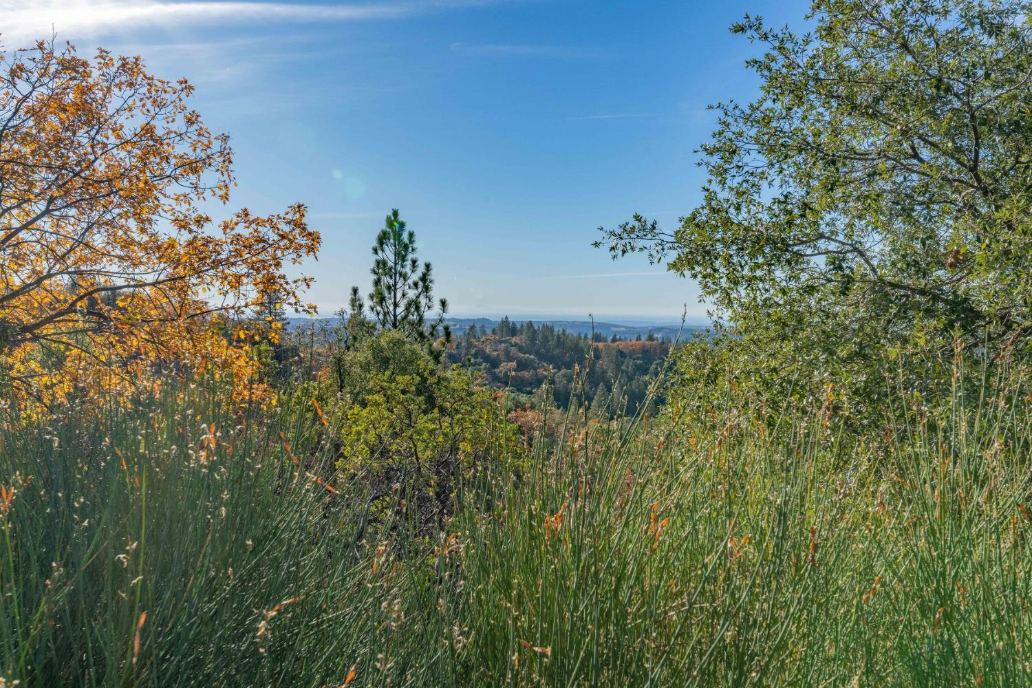 Tanyard Hill Road, Pine Grove, California image 16