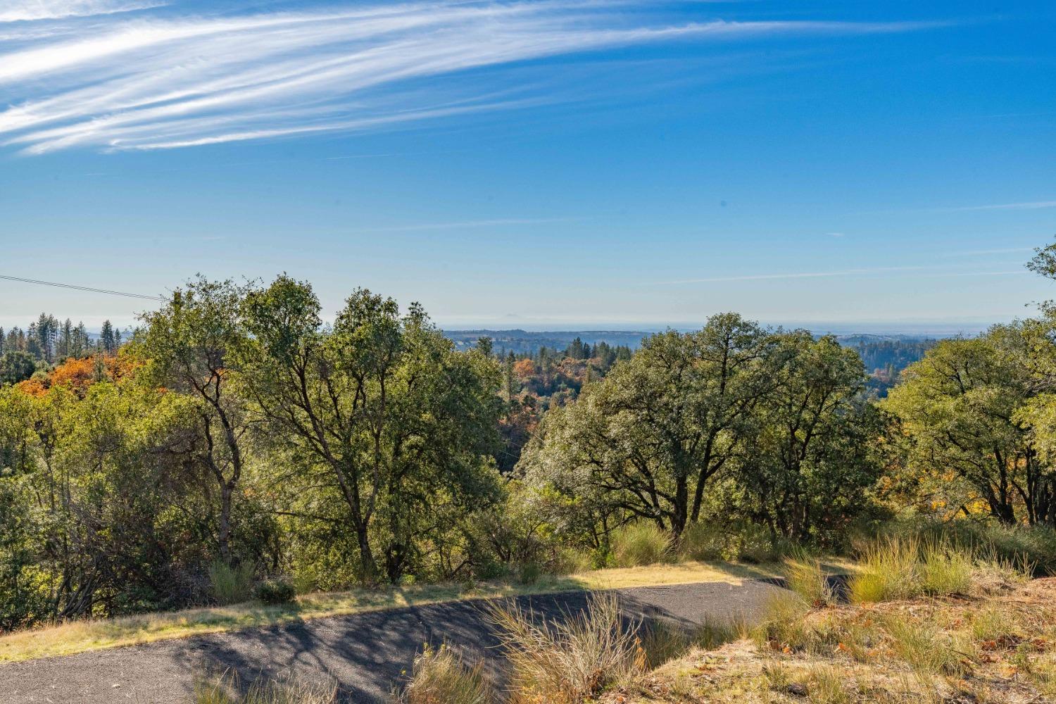 Tanyard Hill Road, Pine Grove, California image 14