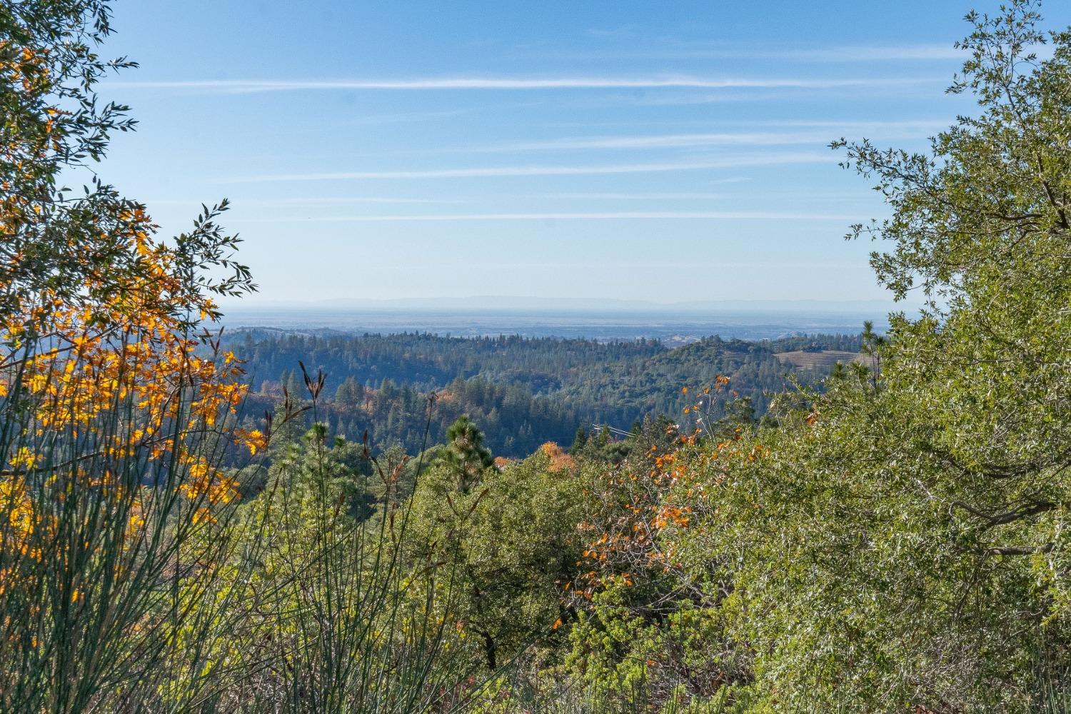 Tanyard Hill Road, Pine Grove, California image 15