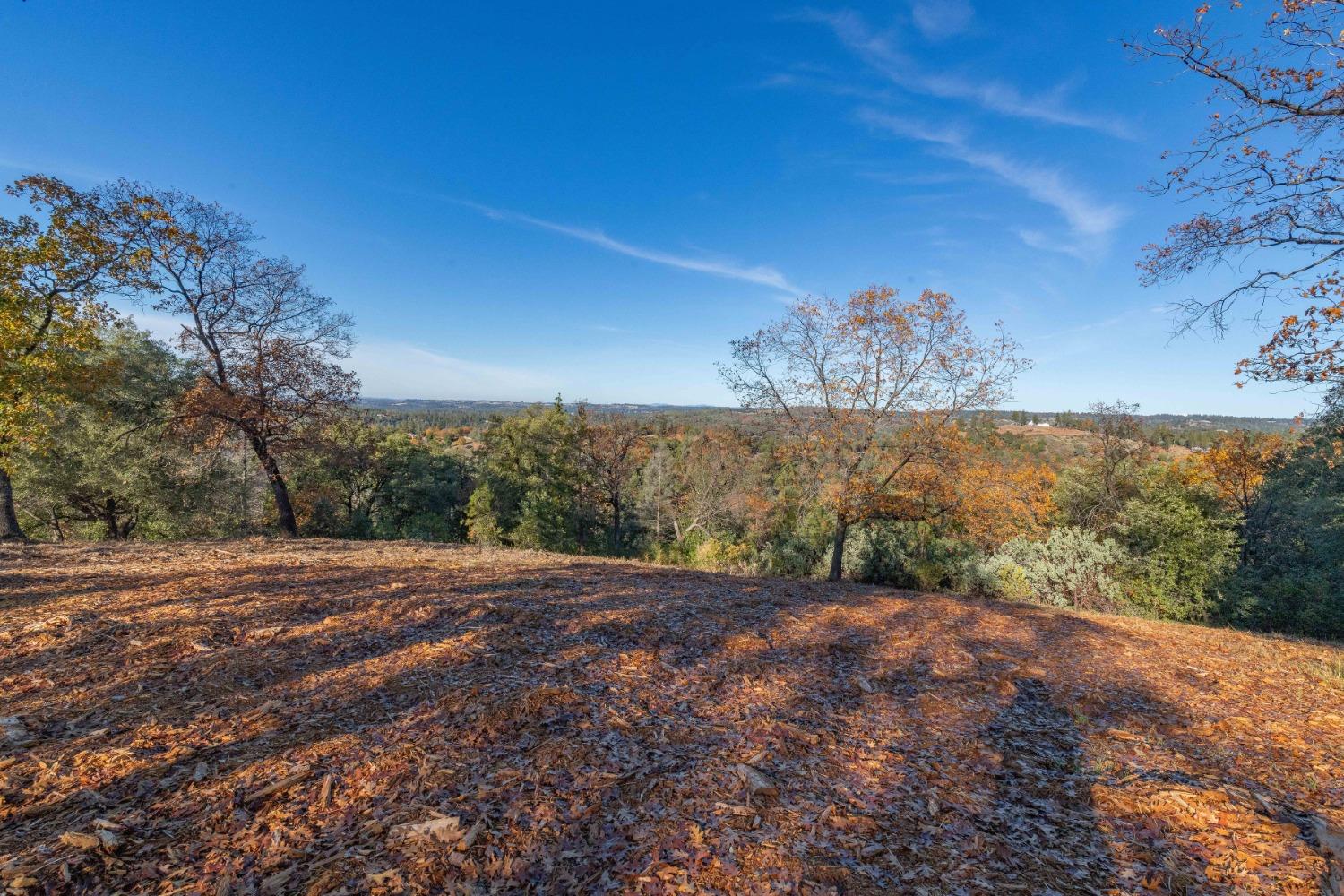 Tanyard Hill Road, Pine Grove, California image 3