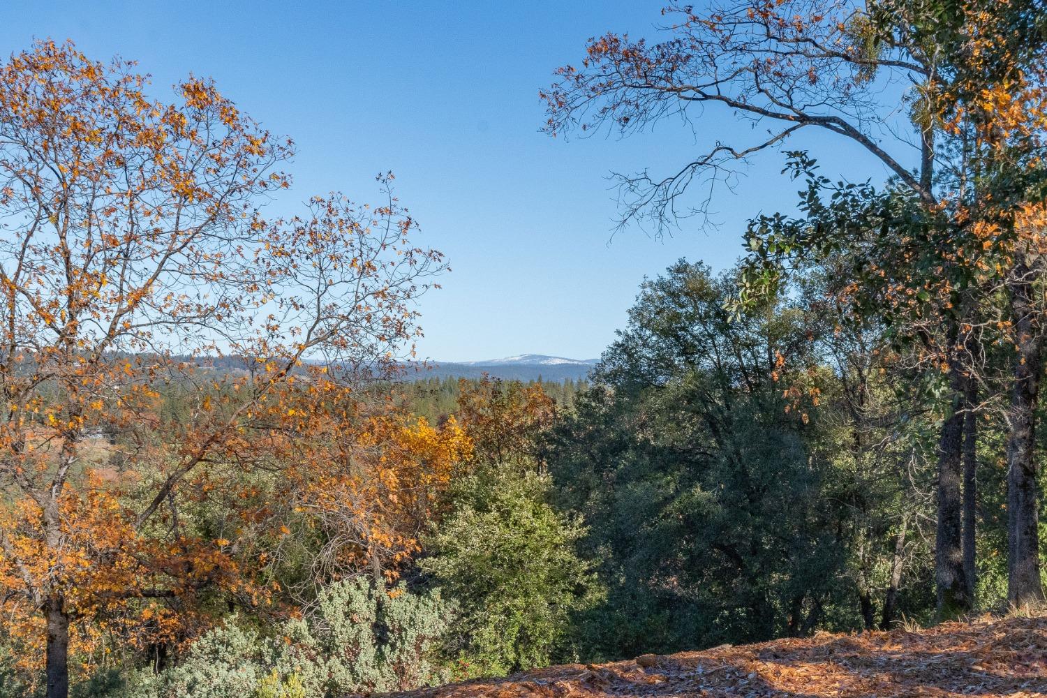 Tanyard Hill Road, Pine Grove, California image 7