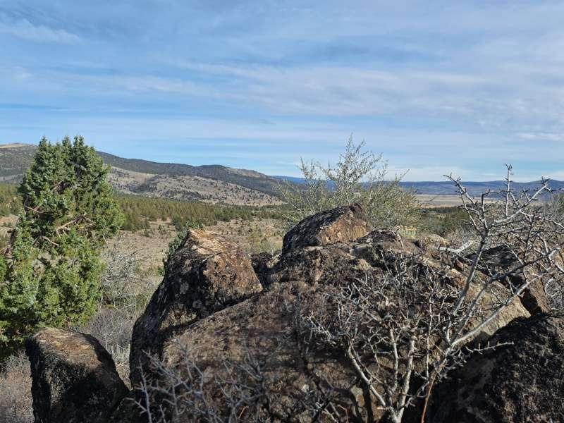 Mahogany Trail, Termo, California image 4