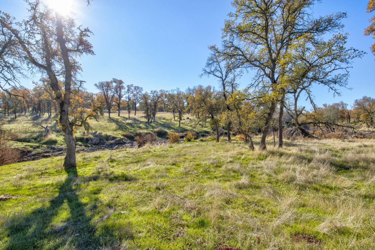 Carbondale Road, Ione, California image 34