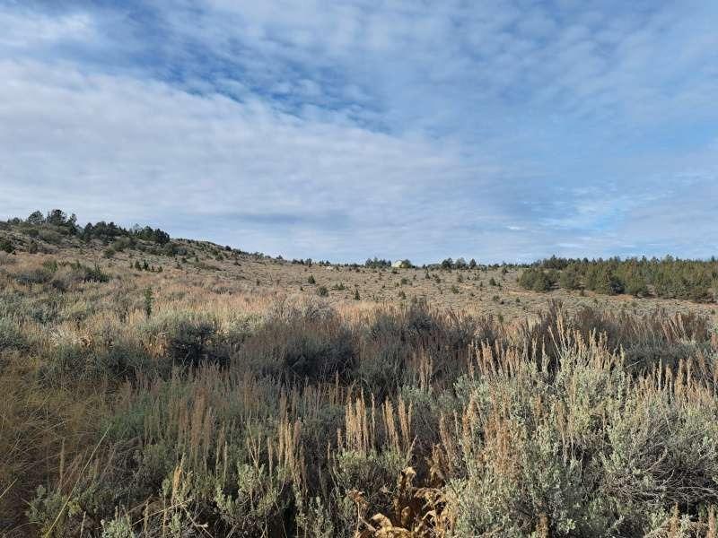 Mahogany Trail, Termo, California image 6