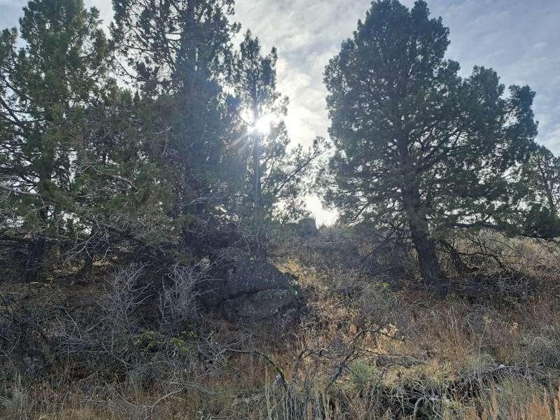 Mahogany Trail, Termo, California image 5