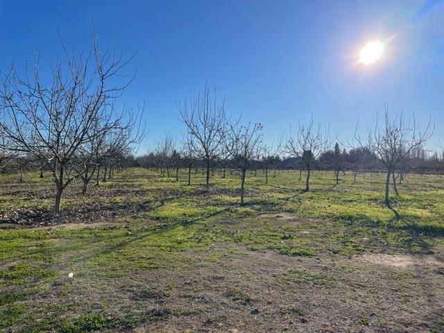 Obrien Avenue, Gridley, California image 3