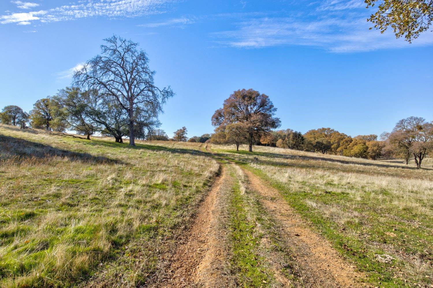 Carbondale Road, Ione, California image 15