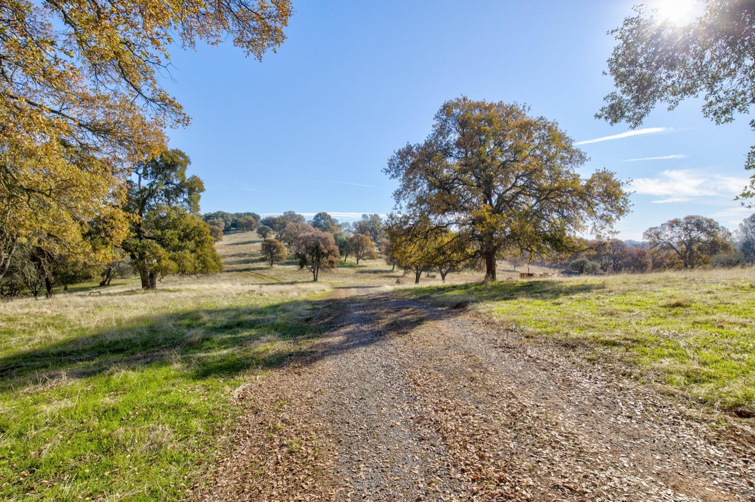 Carbondale Road, Ione, California image 7