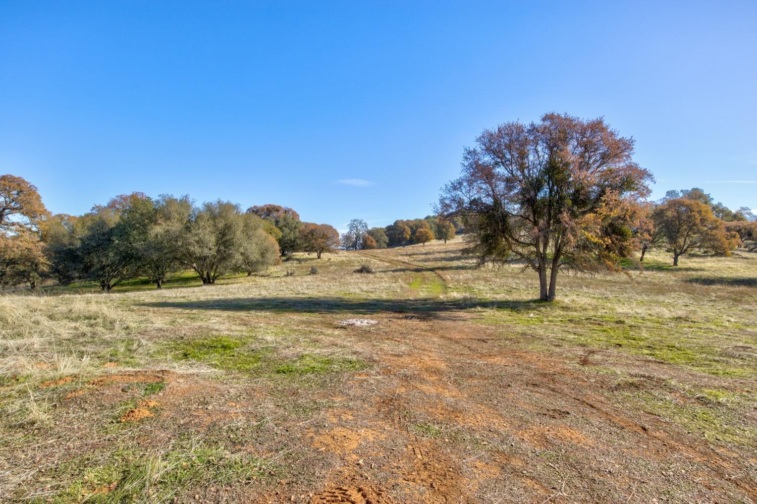 Carbondale Road, Ione, California image 9